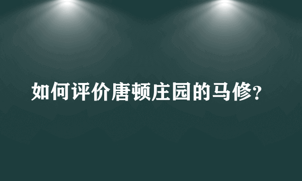 如何评价唐顿庄园的马修？