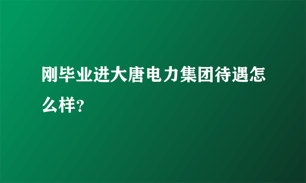 刚毕业进大唐电力集团待遇怎么样？