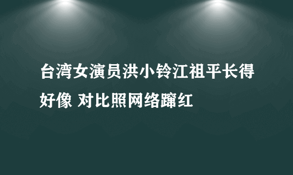 台湾女演员洪小铃江祖平长得好像 对比照网络蹿红