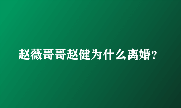 赵薇哥哥赵健为什么离婚？