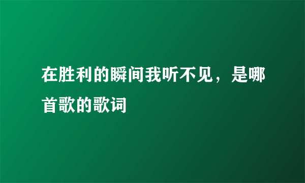 在胜利的瞬间我听不见，是哪首歌的歌词