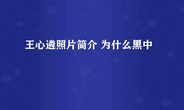 王心遴照片简介 为什么黑中