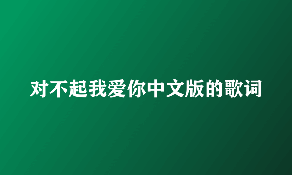 对不起我爱你中文版的歌词