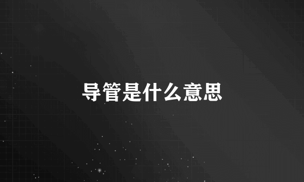 导管是什么意思