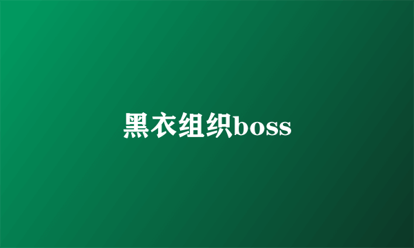 黑衣组织boss