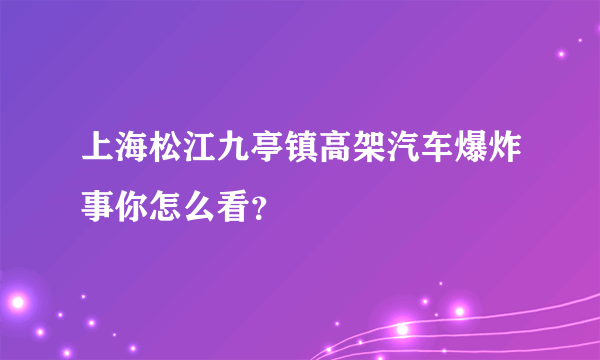 上海松江九亭镇高架汽车爆炸事你怎么看？