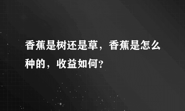 香蕉是树还是草，香蕉是怎么种的，收益如何？