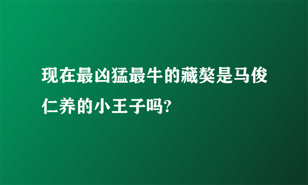 现在最凶猛最牛的藏獒是马俊仁养的小王子吗?