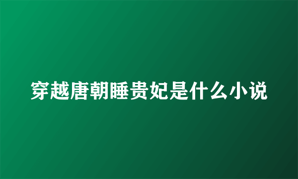 穿越唐朝睡贵妃是什么小说