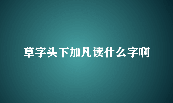 草字头下加凡读什么字啊