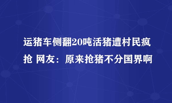 运猪车侧翻20吨活猪遭村民疯抢 网友：原来抢猪不分国界啊