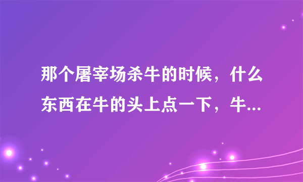 那个屠宰场杀牛的时候，什么东西在牛的头上点一下，牛就晕了还是死了，我不知道，反正那个是什么东西啊