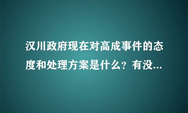 汉川政府现在对高成事件的态度和处理方案是什么？有没对人民的质疑有...