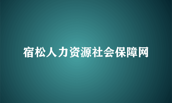 宿松人力资源社会保障网