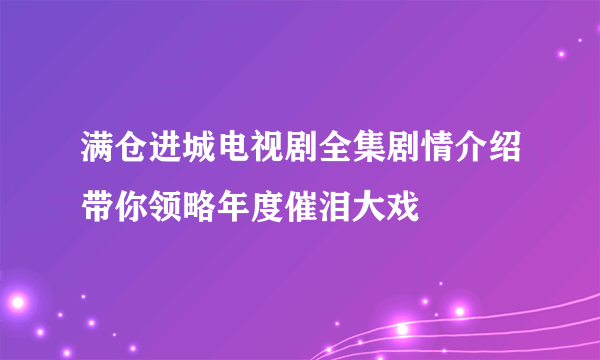 满仓进城电视剧全集剧情介绍带你领略年度催泪大戏