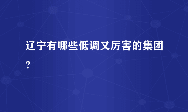 辽宁有哪些低调又厉害的集团？