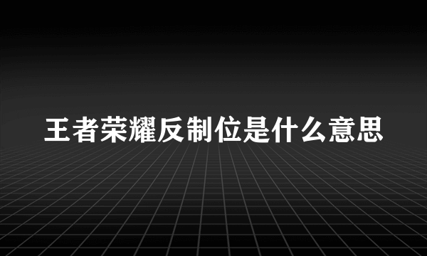 王者荣耀反制位是什么意思