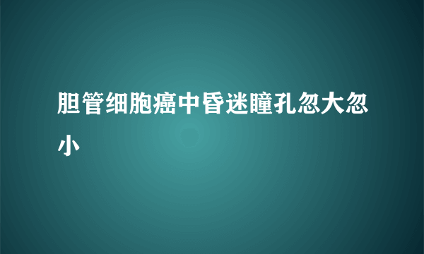 胆管细胞癌中昏迷瞳孔忽大忽小