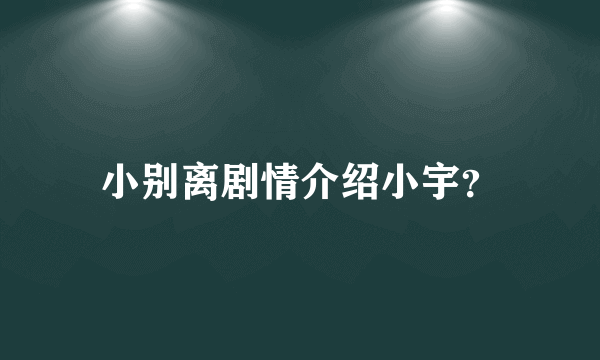 小别离剧情介绍小宇？