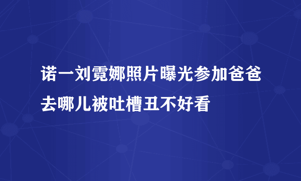 诺一刘霓娜照片曝光参加爸爸去哪儿被吐槽丑不好看