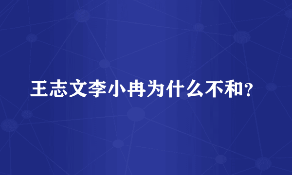 王志文李小冉为什么不和？