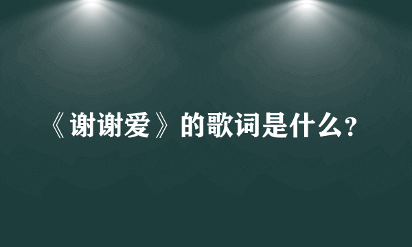 《谢谢爱》的歌词是什么？