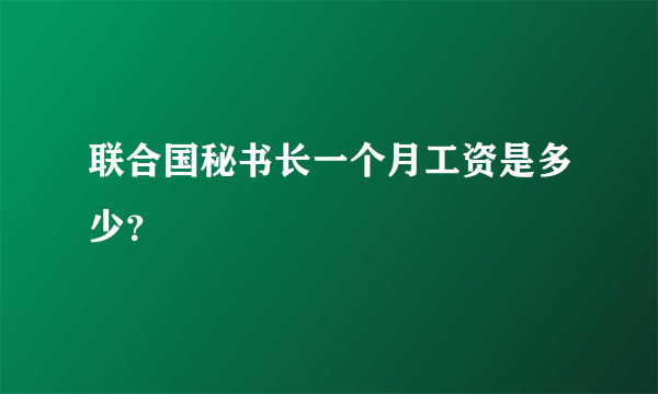 联合国秘书长一个月工资是多少？