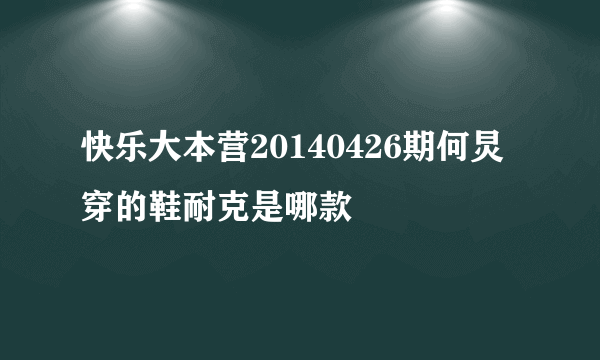 快乐大本营20140426期何炅穿的鞋耐克是哪款