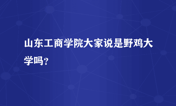 山东工商学院大家说是野鸡大学吗？