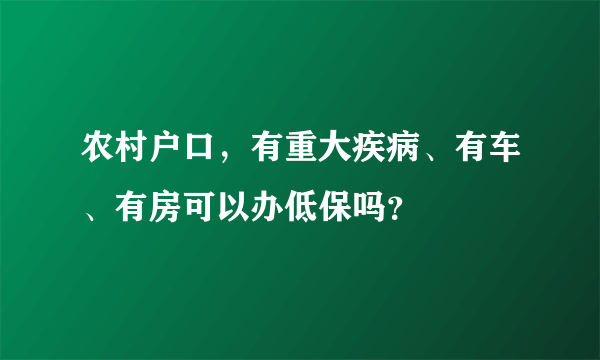 农村户口，有重大疾病、有车、有房可以办低保吗？