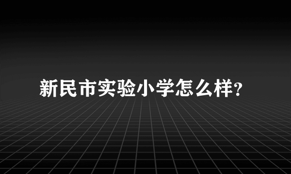 新民市实验小学怎么样？