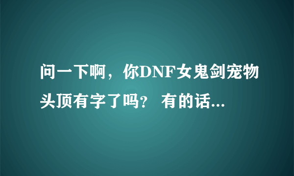 问一下啊，你DNF女鬼剑宠物头顶有字了吗？ 有的话，求解，怎么弄？