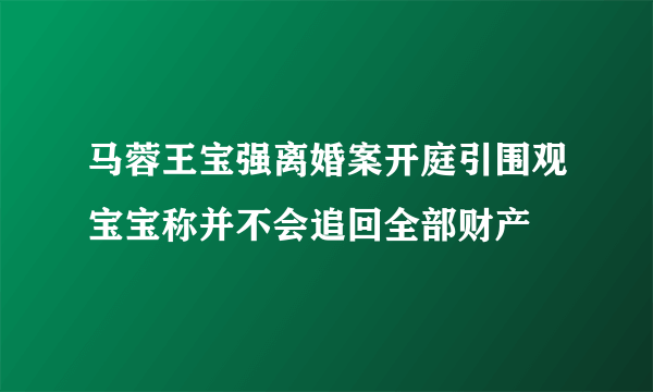 马蓉王宝强离婚案开庭引围观宝宝称并不会追回全部财产