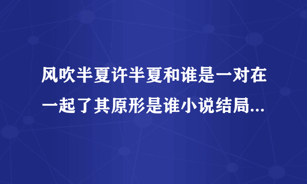 风吹半夏许半夏和谁是一对在一起了其原形是谁小说结局是好的吗