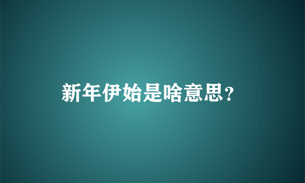 新年伊始是啥意思？