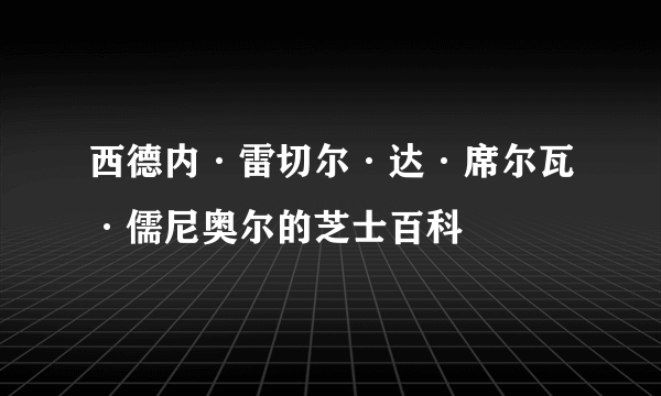 西德内·雷切尔·达·席尔瓦·儒尼奥尔的芝士百科