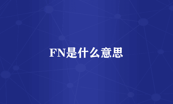 FN是什么意思