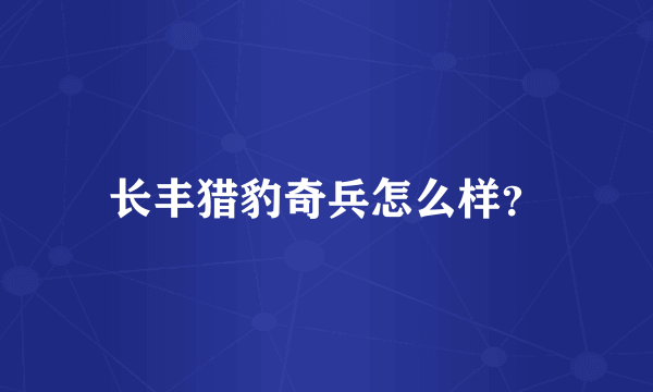 长丰猎豹奇兵怎么样？