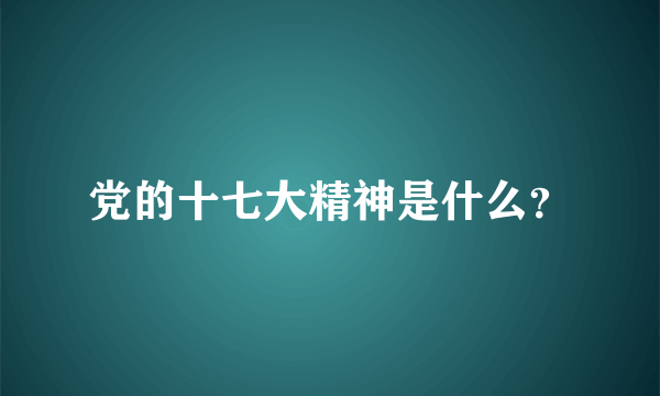 党的十七大精神是什么？