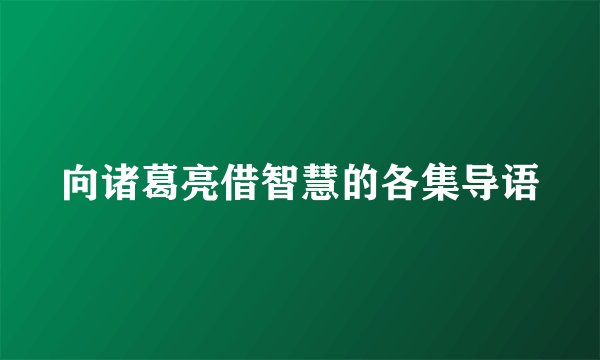 向诸葛亮借智慧的各集导语