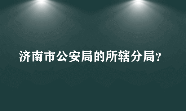 济南市公安局的所辖分局？