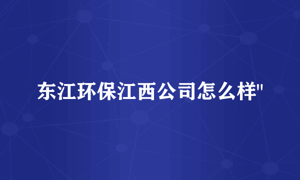 东江环保江西公司怎么样