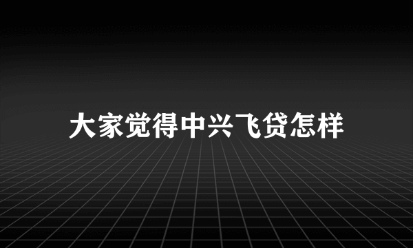 大家觉得中兴飞贷怎样