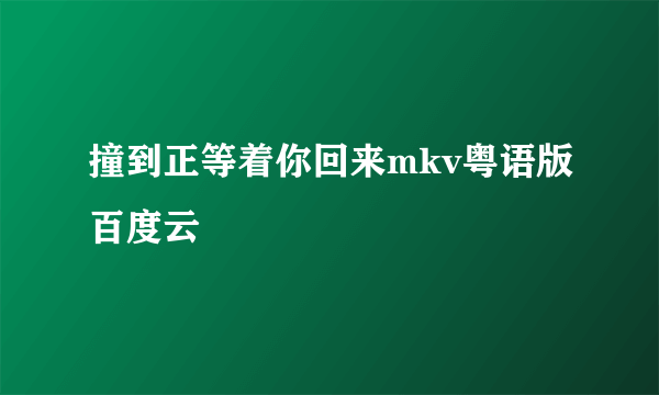 撞到正等着你回来mkv粤语版百度云