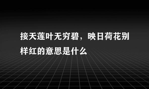 接天莲叶无穷碧，映日荷花别样红的意思是什么