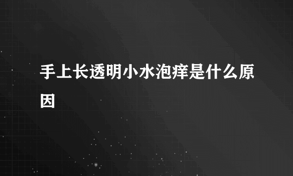 手上长透明小水泡痒是什么原因