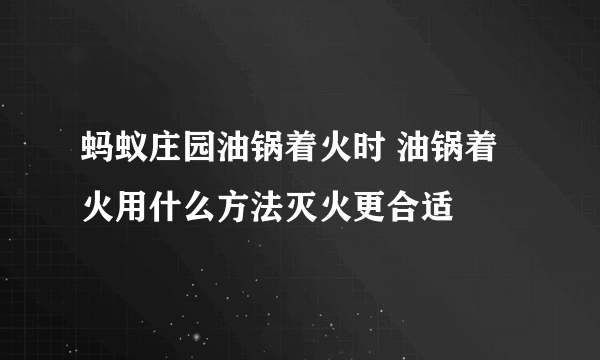 蚂蚁庄园油锅着火时 油锅着火用什么方法灭火更合适