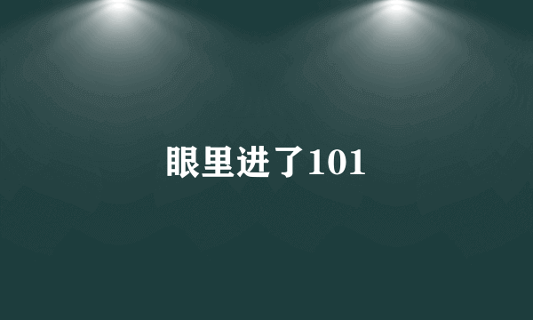 眼里进了101