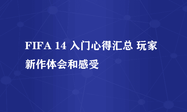 FIFA 14 入门心得汇总 玩家新作体会和感受