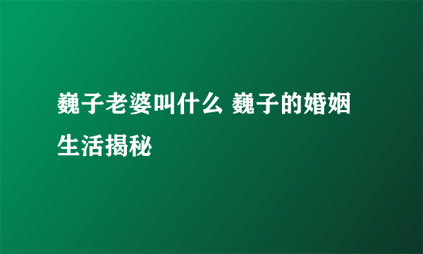 巍子老婆叫什么 巍子的婚姻生活揭秘